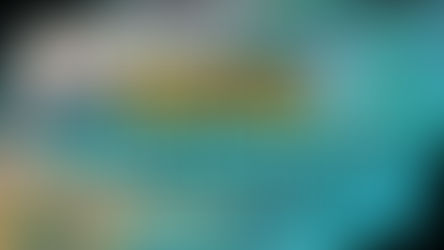 Pokémon Independence Secrets of The First Ones