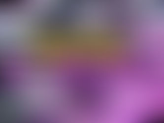 Pokémon Re : Universe