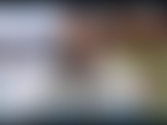 Pokémon Shifting Skies