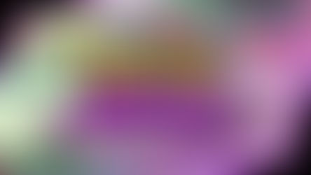 Pokémon Emerald Double Battle Edition