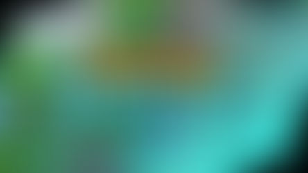 Pokémon Ranger Star