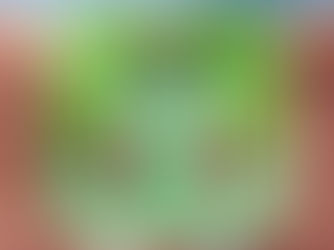 Pokémon Zeta and Omicron