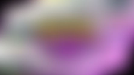 Pokémon Fire Red A Loser’s Game