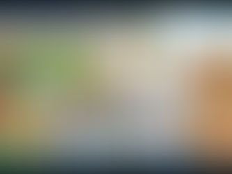 Pokémon Digimon New World