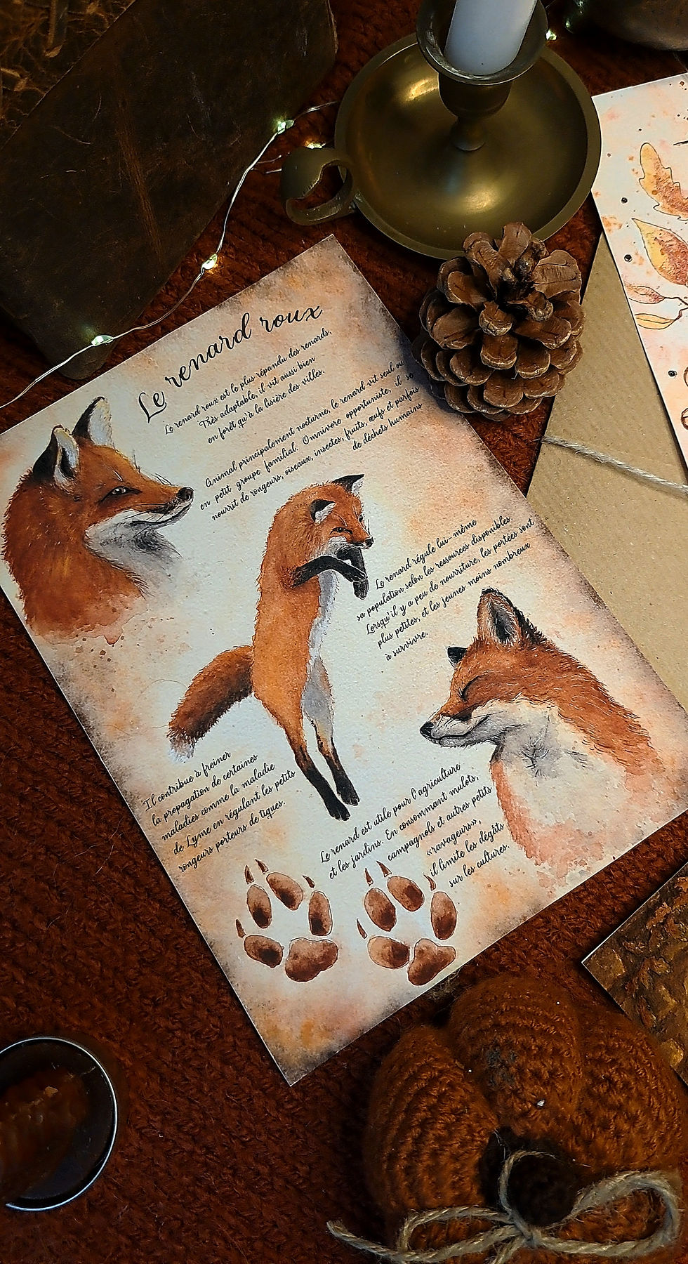 Illustration la planche du renard