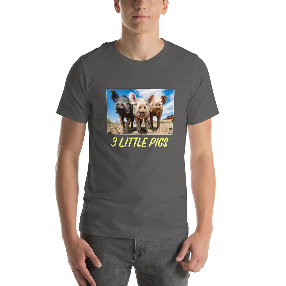 Thumbnail: Pig T-Shirt, 3 Little Pigs, photo art shirt, from bcpix.com
