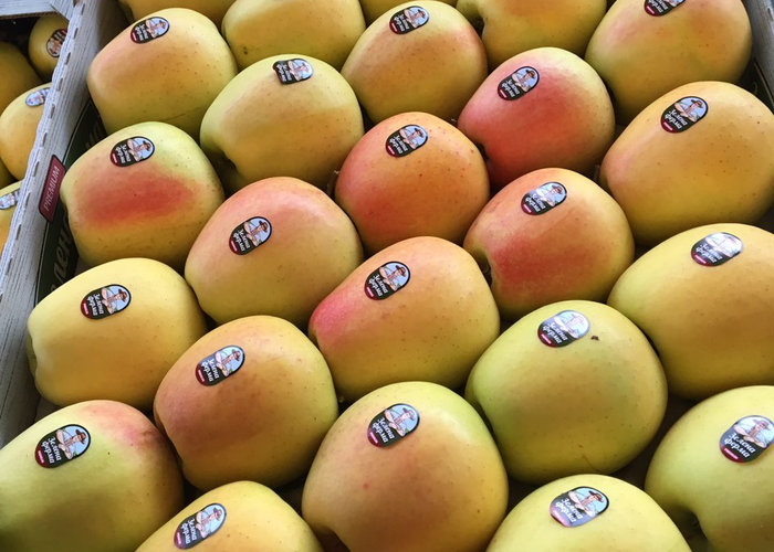 Blushed Golden apple