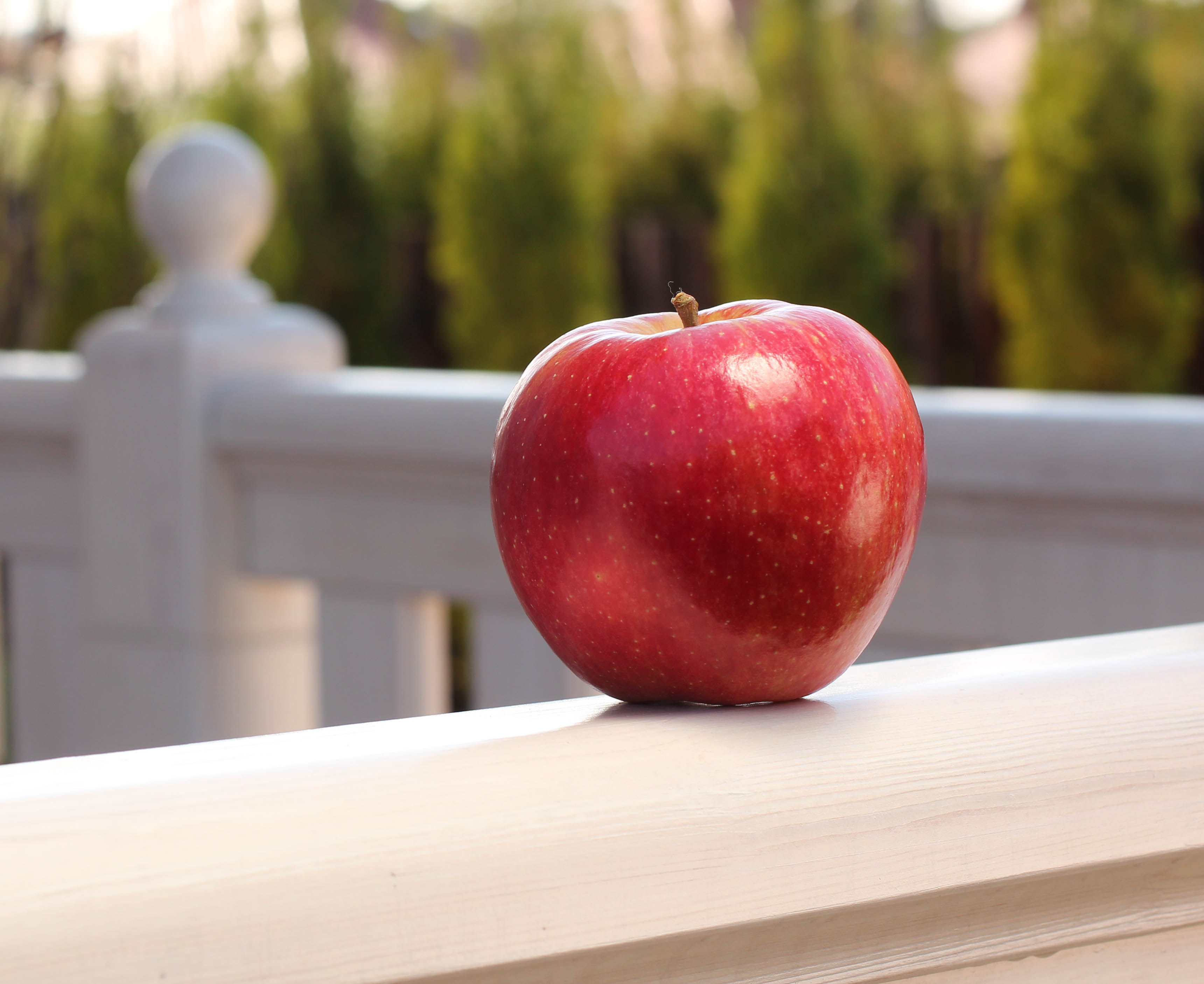 Джонаголд Премиум