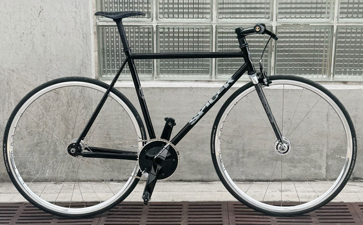 Custom Steel Track and Fixed Gear Frame