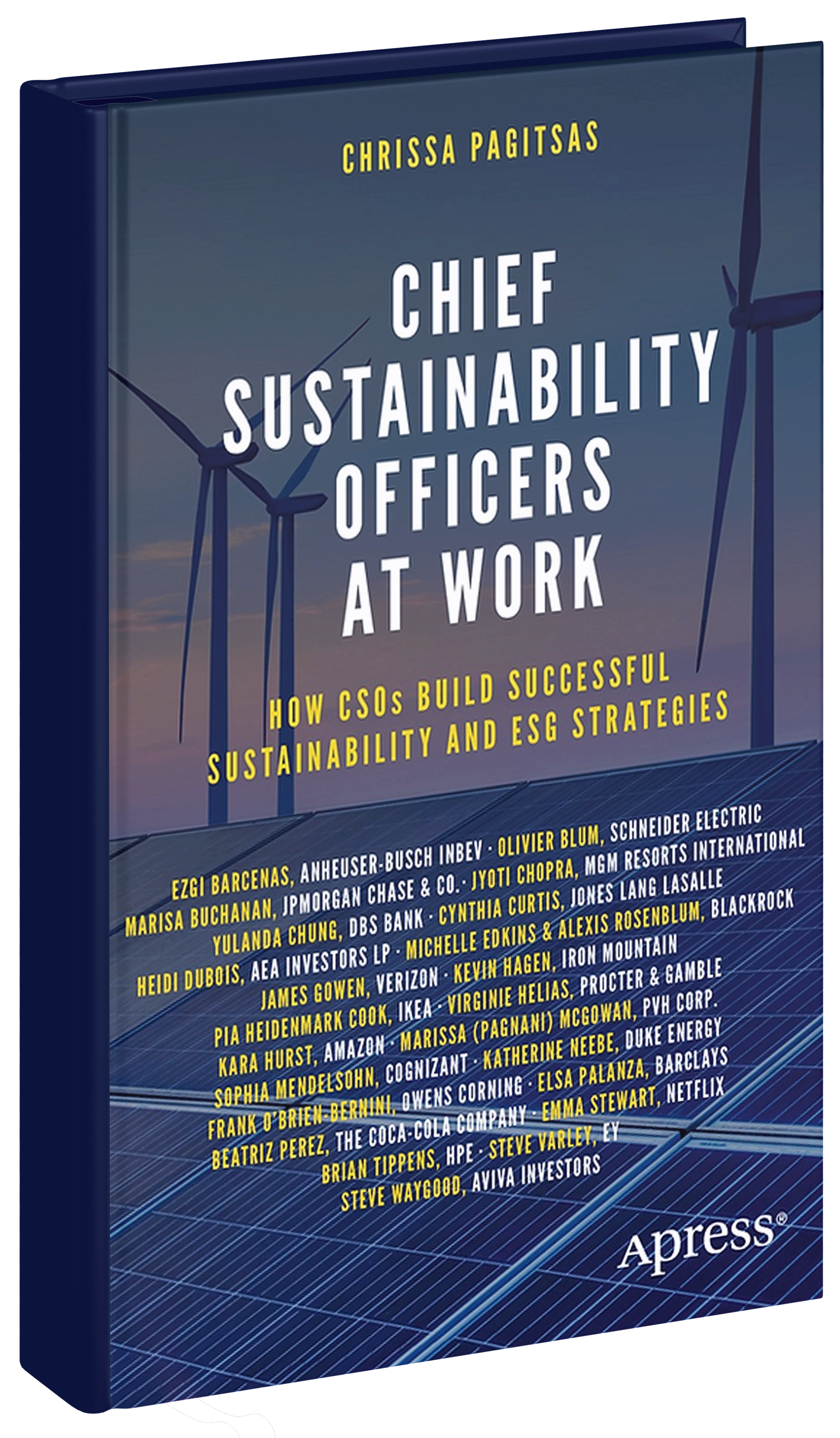 Chief Sustainability Officers at Work book cover by Chrissa Pagitsas