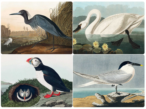 Set of 4 Assorted Audubon Bird 'Set A' Placemats | Pickering Company