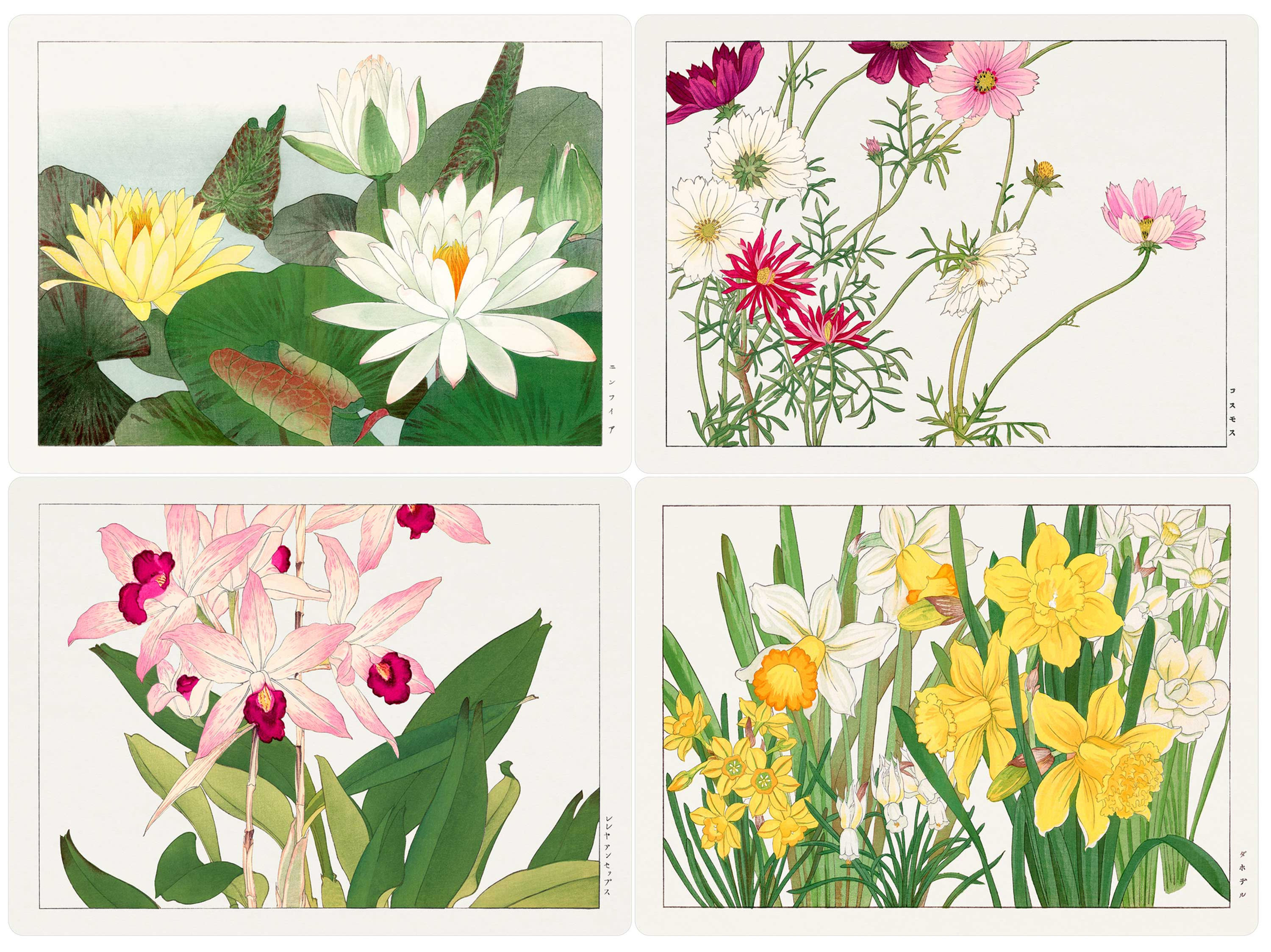 Set of 4 Botanical 'Japanese Woodblocks' (B) by Tanigami Kônan Placemats