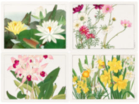 Set of 4 Botanical 'Japanese Woodblocks' (B) by Tanigami Kônan Placemats