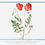 Thumbnail: Set of 4 Bonelli's Botanicals 'Assorted Reds' Placemats