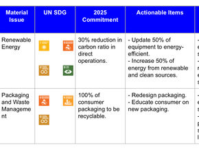 Sustainability, Sustainability Strategy or ESG?