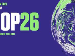 How Does COP26 Affect my Business?