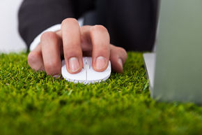 TIPS to Green Your Business