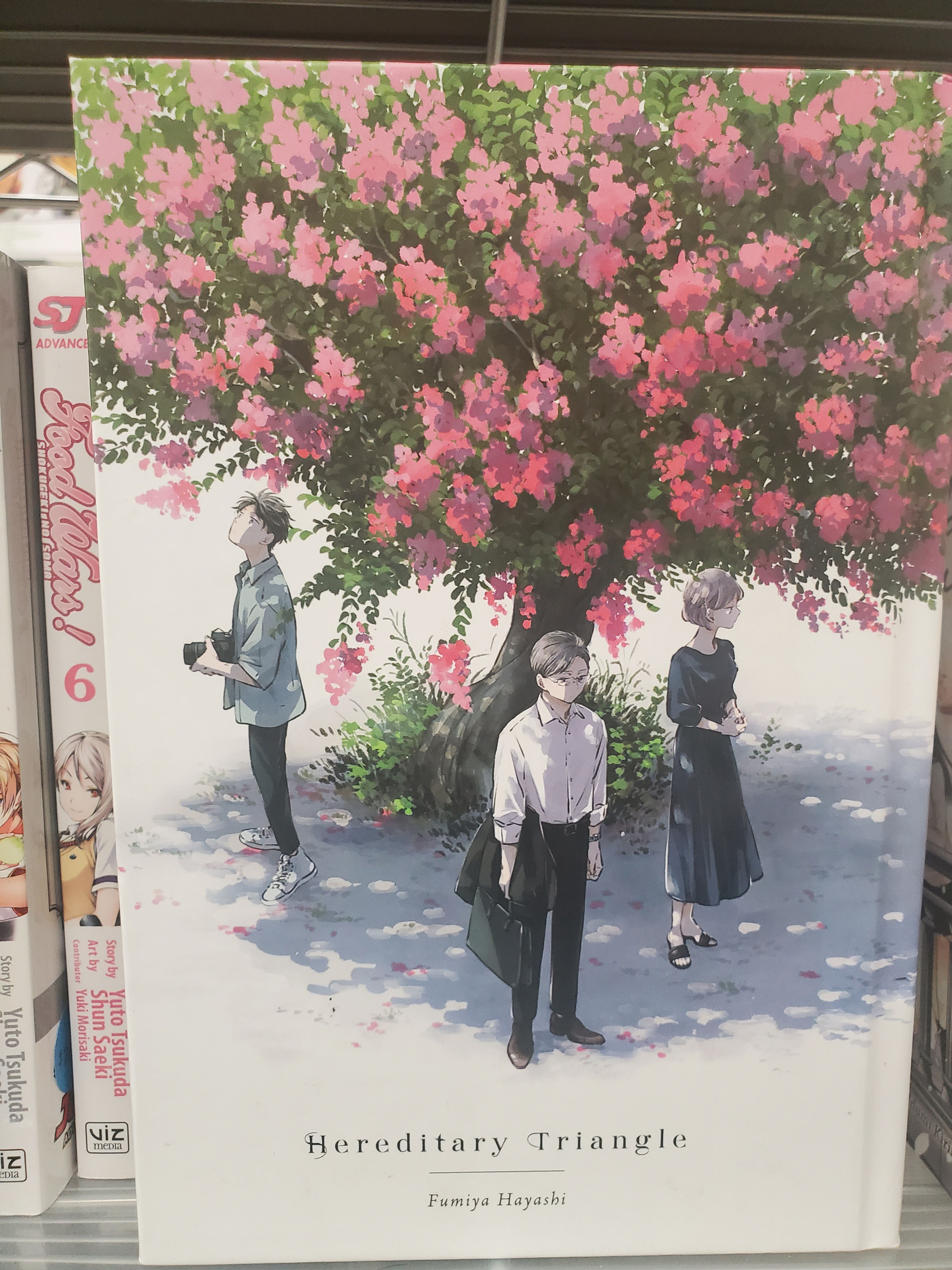 Hereditary Triangle (Fumiya Hayashi)