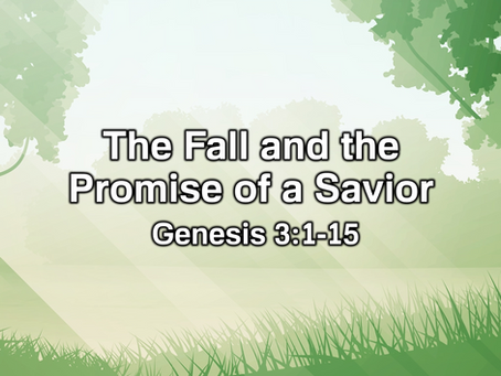 The Fall and the Promise of a Savior (Genesis 3:1-15) - 8/9/20