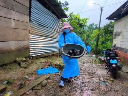 Eliminan 5 toneladas de potenciales criaderos de zancudos del dengue en Loromayo