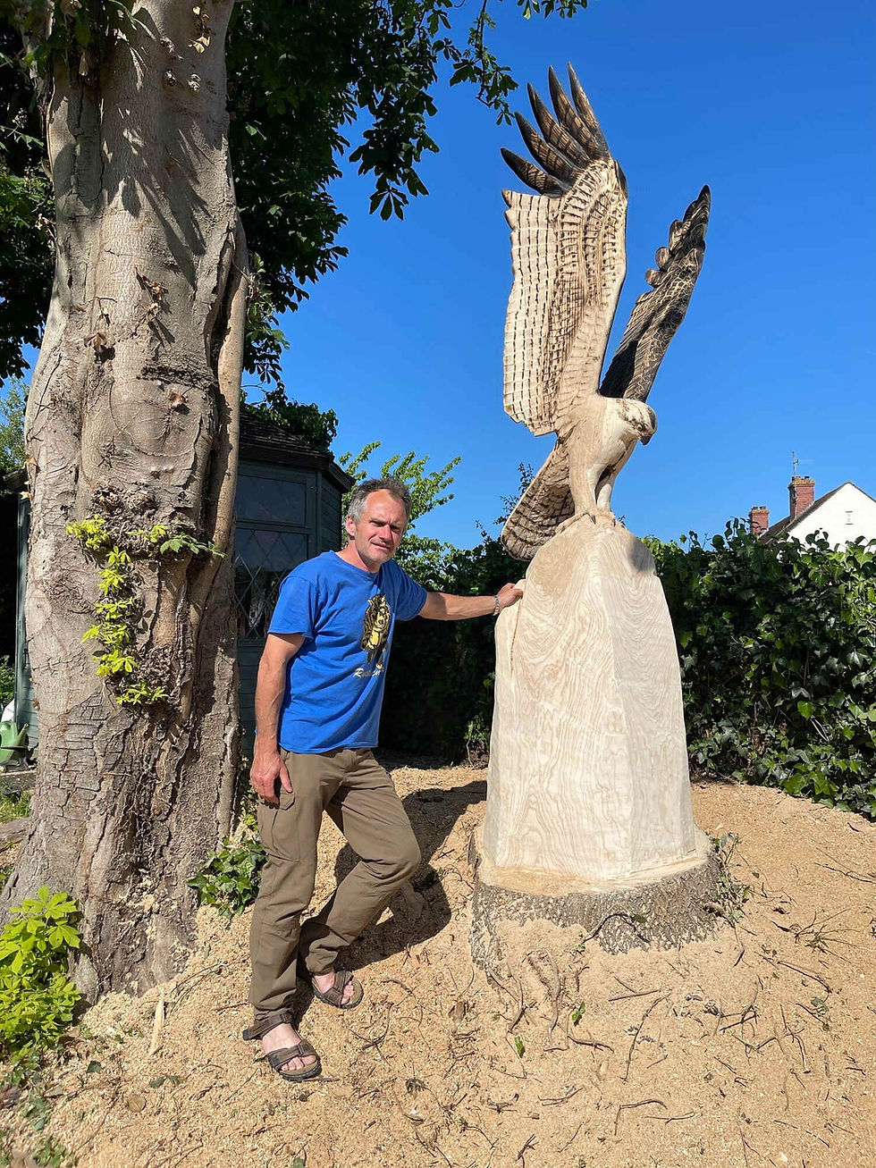 Osprey Stump Carving — Wales Site-specific, on-site commissioned sculpture