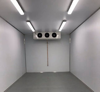 Empty white walk-in cooler with a gray floor and bright overhead fluorescent lights