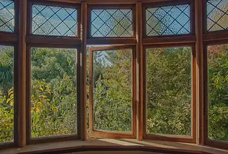 A wide bay window with wooden frames overlooks lush greenery and sunlight
