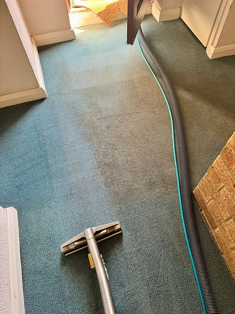 Industrial carpet cleaning equipment extraction wand and vacuum hose being used on a light blue patterned carpet