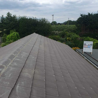 View from a sloped, tiled roof overlooking lush greenery and cloudy sky