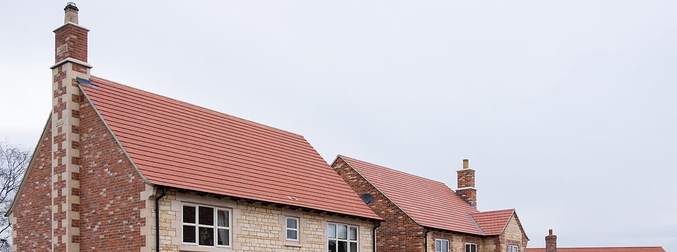Residential buildings with red roofs