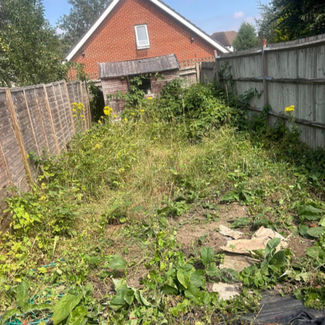 Overgrown backyard with tall grass and weeds, enclosed by wooden fences