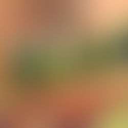 Apéro Riche für ein Wirtschafts-Forum in Zürich