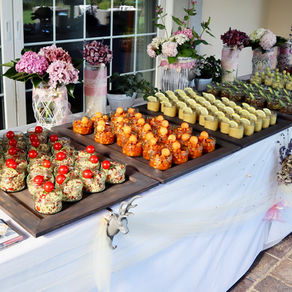 Veganer Apéro Riche für Hochzeit am Zürichsee