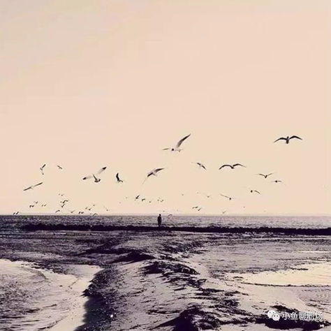 天高任鸟飞:小鱼聊职场学员Emma同时斩获3个Offer