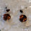 Thumbnail: Silver and amber earrings absolutely gorgeous 