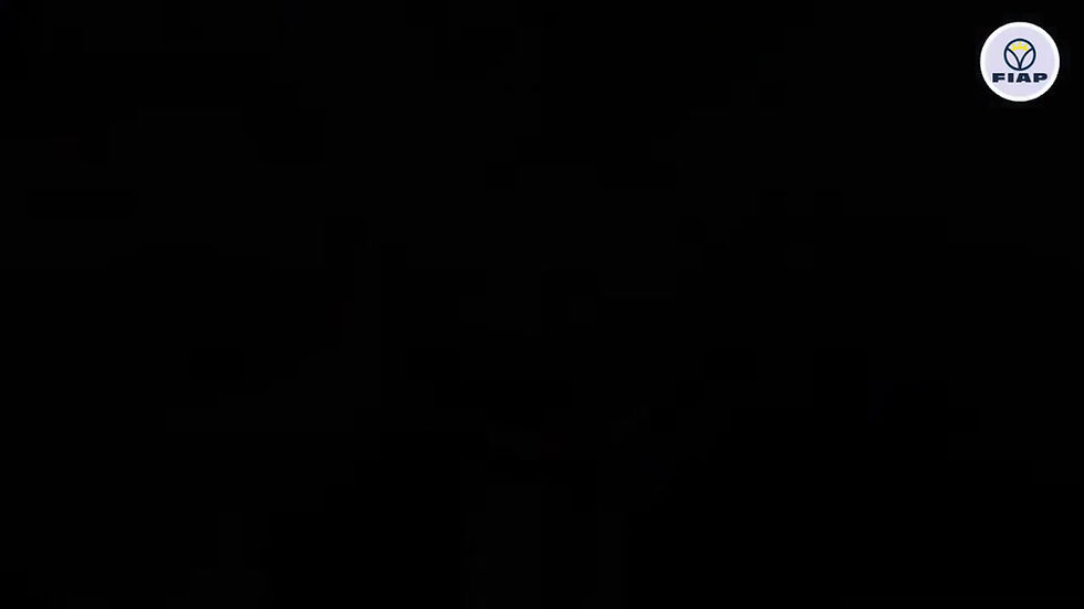 Thumbnail: FIAP Profifeed Belt Feeder