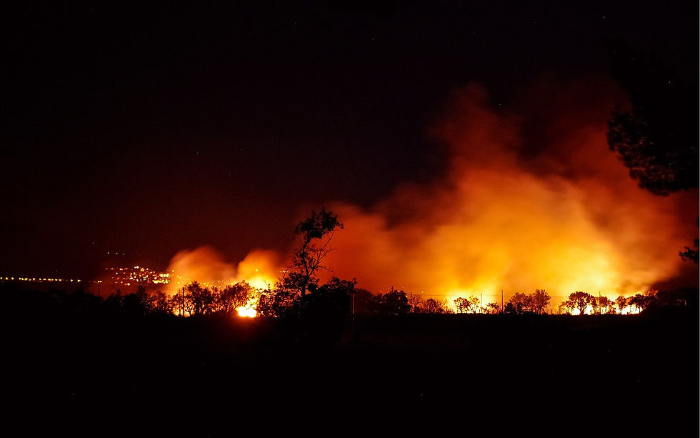 Wildfire image from pixabay