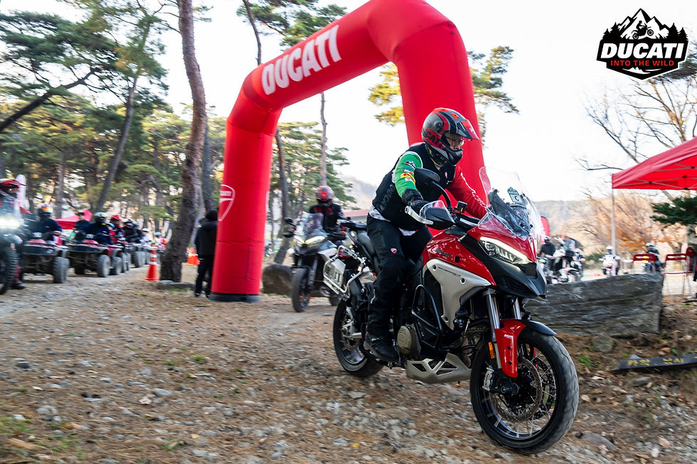 Ducati into the WILD
