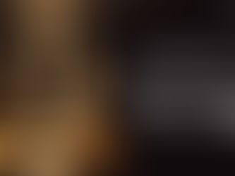 ConsumerInsight 2025 Lexus