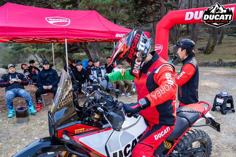 Ducati into the WILD