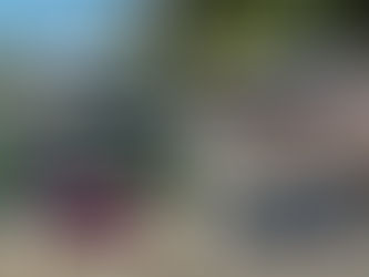 Weekly Rewind 2026 June 3rd week