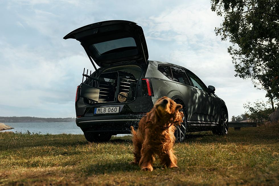 To mark 'Dogust,' the celebration for rescue dogs, Volvo Car USA stated that securing pets in the vehicle with proper safety restraints is absolutely essential.