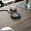 Thumbnail: Quake Wireless Charging Pad