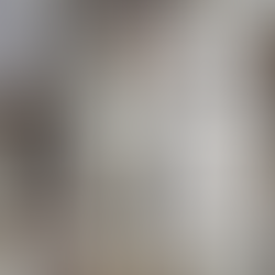 Sant'Ambroeus cont i tett