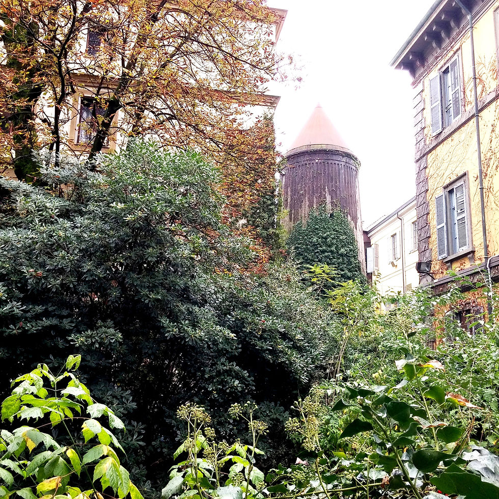 Torre delle sirene - Wilma Viganò