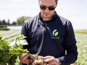 The Grower - Brewing a Fertilizer Solution