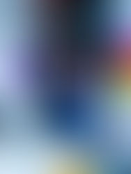 Maple Bear, por Giovanna Meneguetti