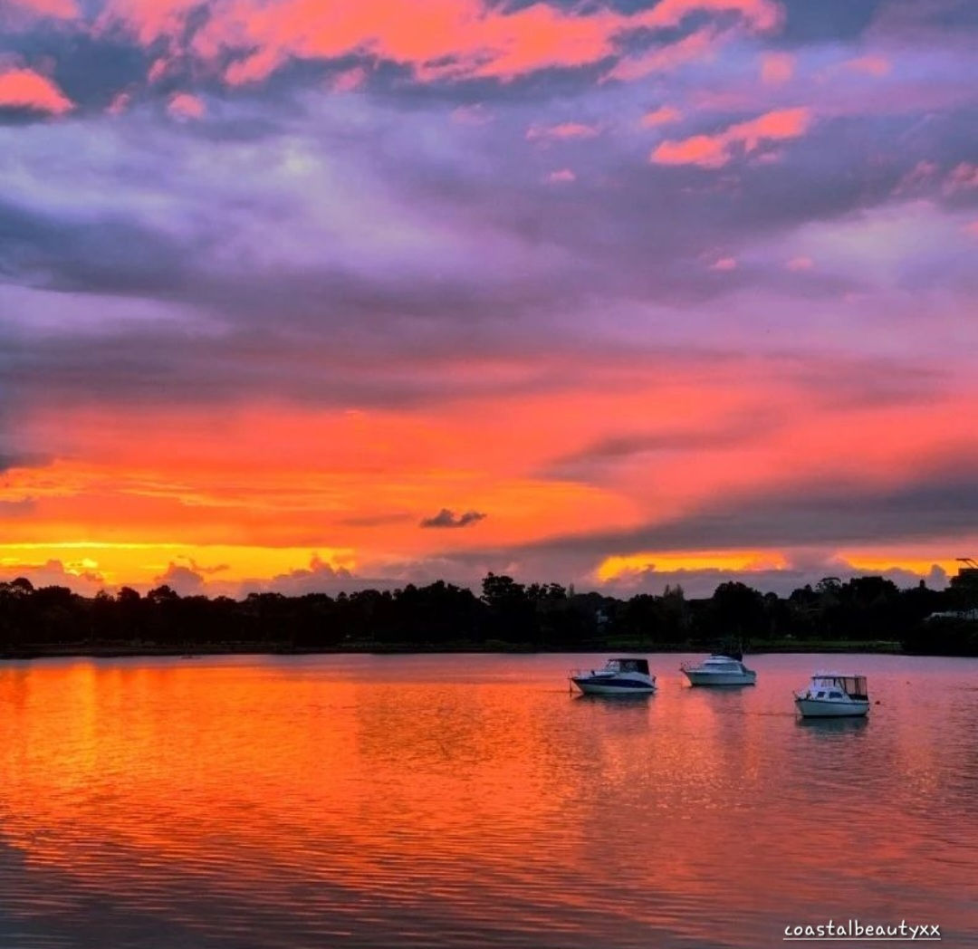 Colours of the night