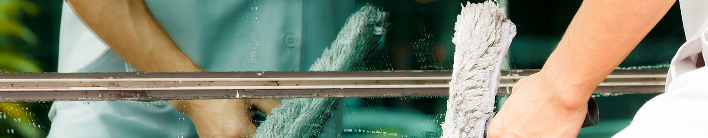 Window Cleaning Action