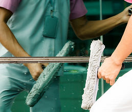 Cleaning Windows